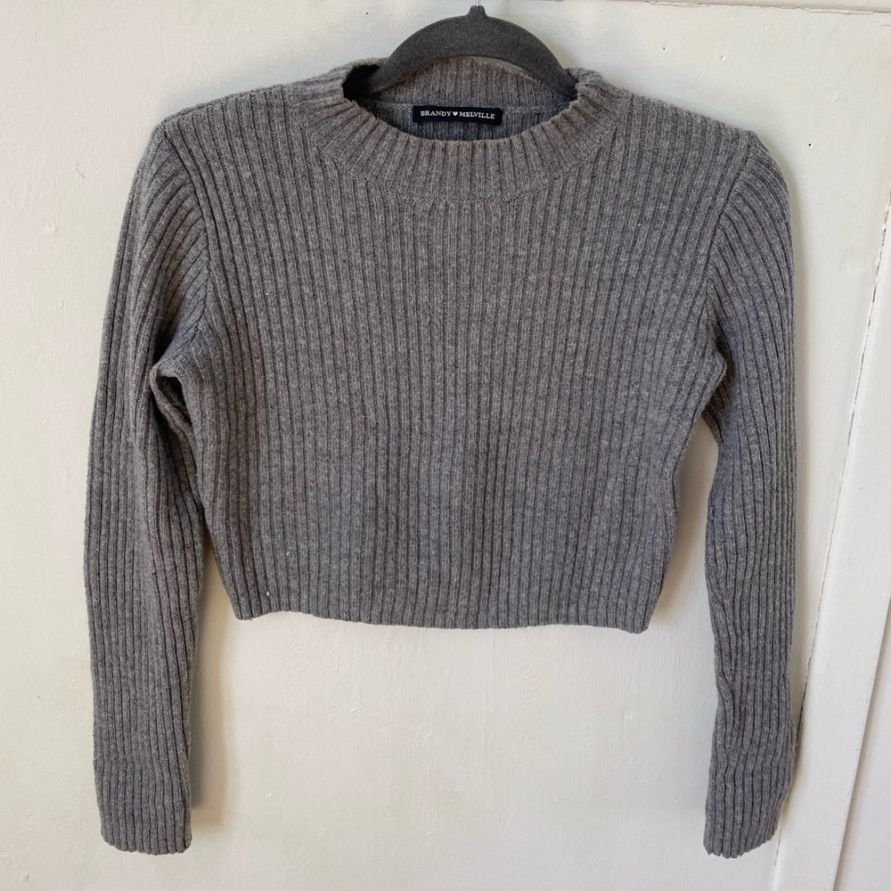 Brandy Melville long sleeve crop top sweater